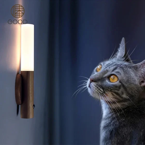 Led Induction (Motion Sensor) Wall Lamp USB Rechargeable Warm Light (Random Colours)