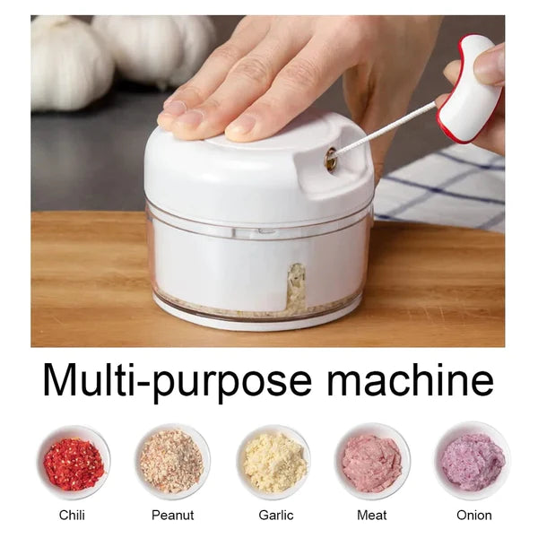 Multi Functional Grinding Food Chopper | Mini Manual Garlic Chopper (With Magnetic Blade)