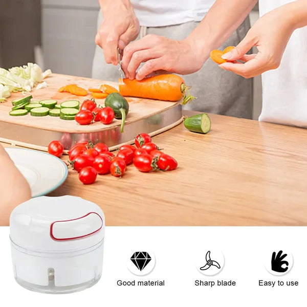 Multi Functional Grinding Food Chopper | Mini Manual Garlic Chopper (With Magnetic Blade)