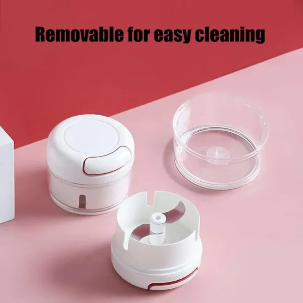 Multi Functional Grinding Food Chopper | Mini Manual Garlic Chopper (With Magnetic Blade)