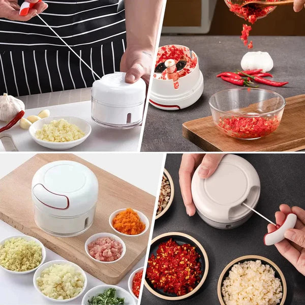 Multi Functional Grinding Food Chopper | Mini Manual Garlic Chopper (With Magnetic Blade)